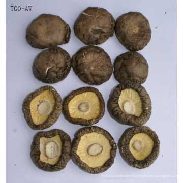 Shiitake Mushrooms Smooth Veriety Shiitake